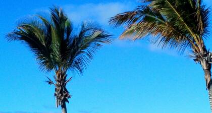 Lovely, quiet holiday apt with swimming pool