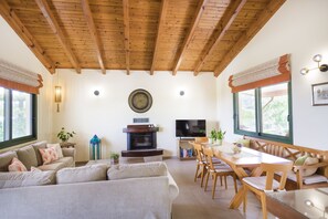 TV connectée, cheminée, lecteur de DVD, table de tennis de table