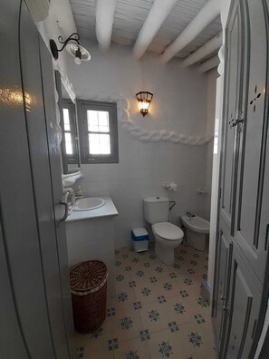 Shower, hair dryer, bidet, towels