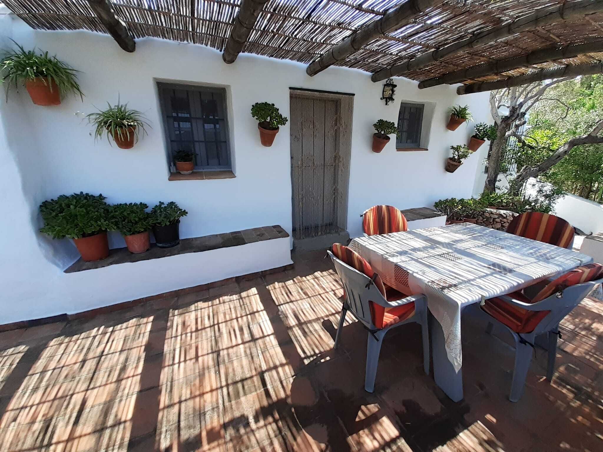 An outdoor patio with a table and chairs, surrounded by potted plants and a wooden door.