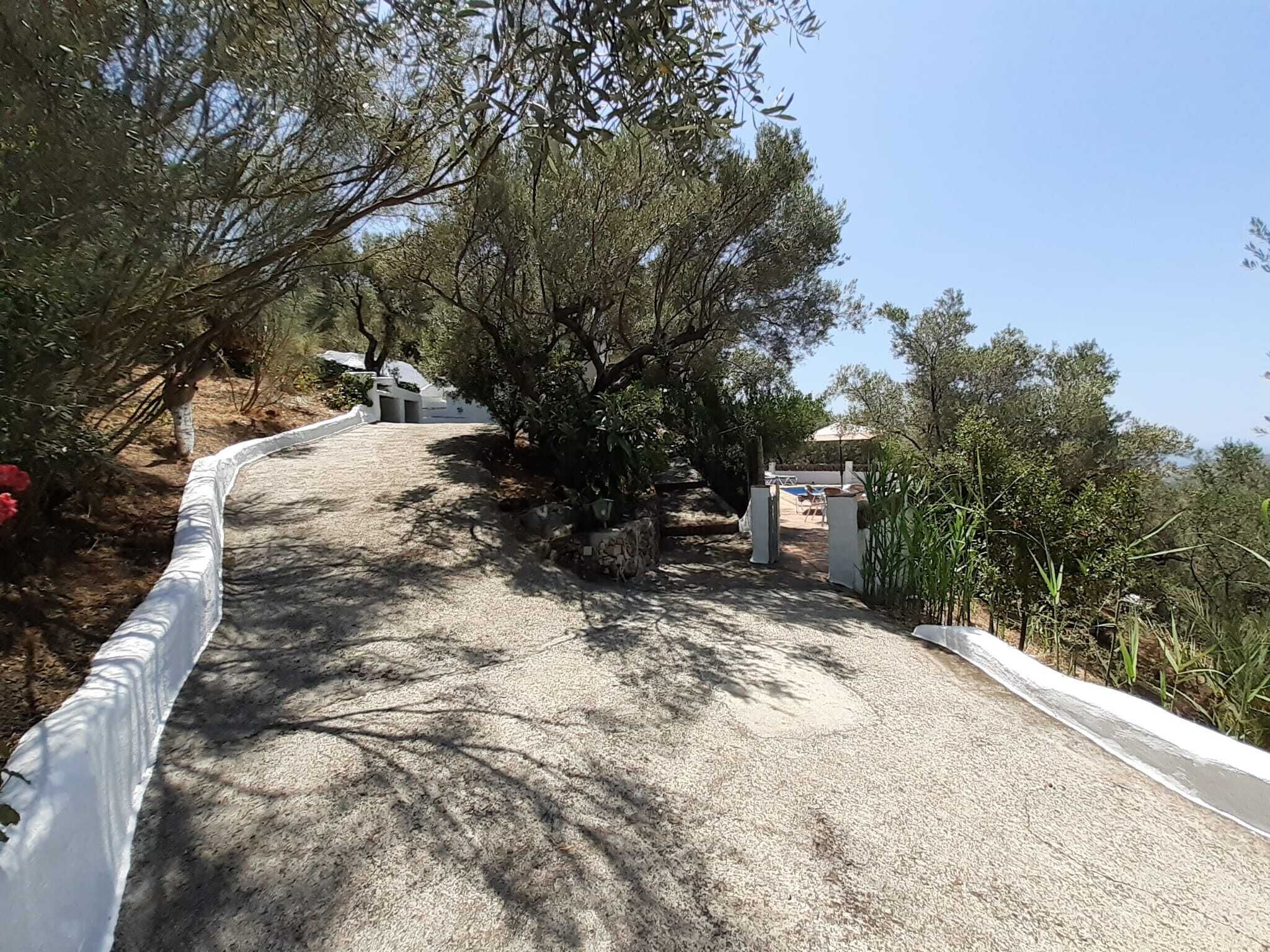 Un sendero de grava que lleva a un edificio de fachada blanca, rodeado de árboles y vegetación.