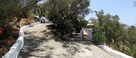 A gravel path leading to a building with a white exterior, surrounded by trees and vegetation.
