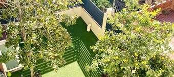 Splendid & Superb Park Guell House