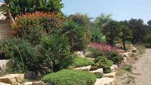 A garden with various plants and a stone pathway. - wonderful villa with beautiful view of the mountains  (Estoi)