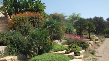 Jardines del alojamiento