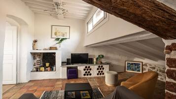 TV, fireplace, DVD player, books