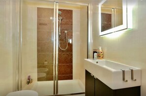 Shower, hair dryer, bidet, towels