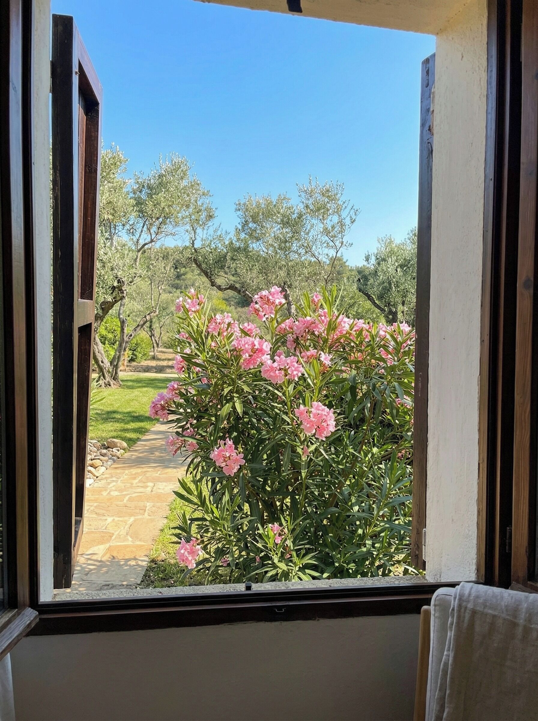 Blick durch ein offenes Fenster auf einen Garten mit einem Kiesweg, rosa Blumen und Olivenbäumen.