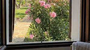 A view through an open window of a garden with a stone pathway, pink flowers, and olive trees.