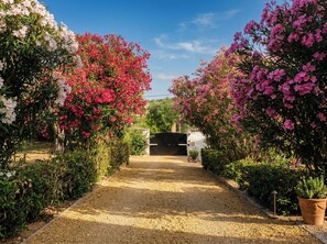 A pathway flanked by flowering plants leading to a gate.