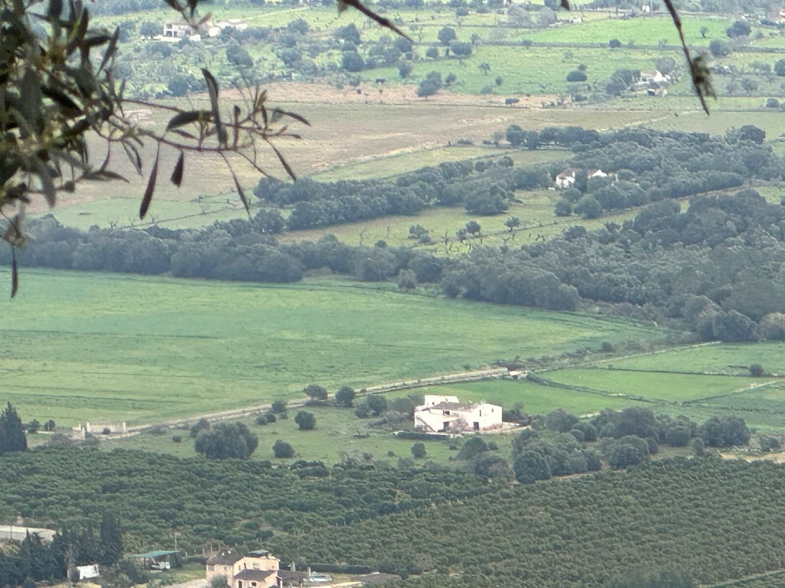 A rural landscape with fields, scattered houses, and dense tree coverage.