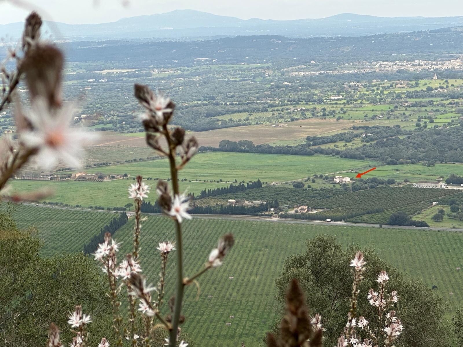 Un paisaje rural con campos, una carretera y un pueblo lejano.