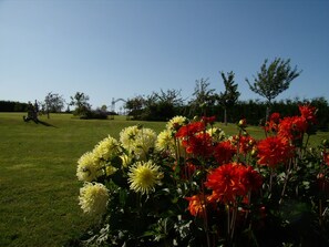 A garden with yellow and red flowers in the foreground, a lawn, and a gate in the background. - Mansion - Fourches (Fourches)