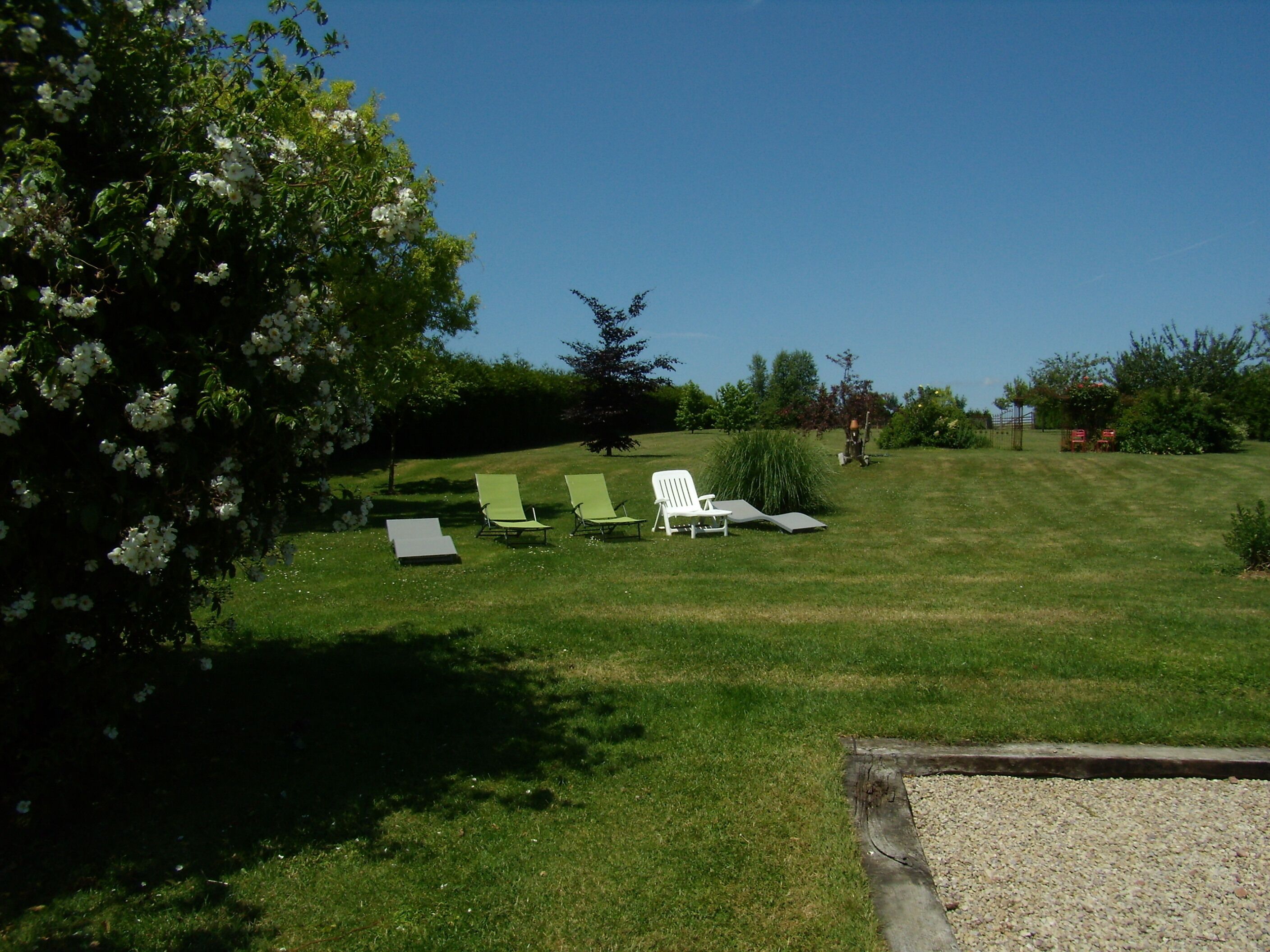 Un espace extérieur verdoyant, avec trois chaises longues blanches et une table, le tout entouré d’arbres et d’arbustes.
