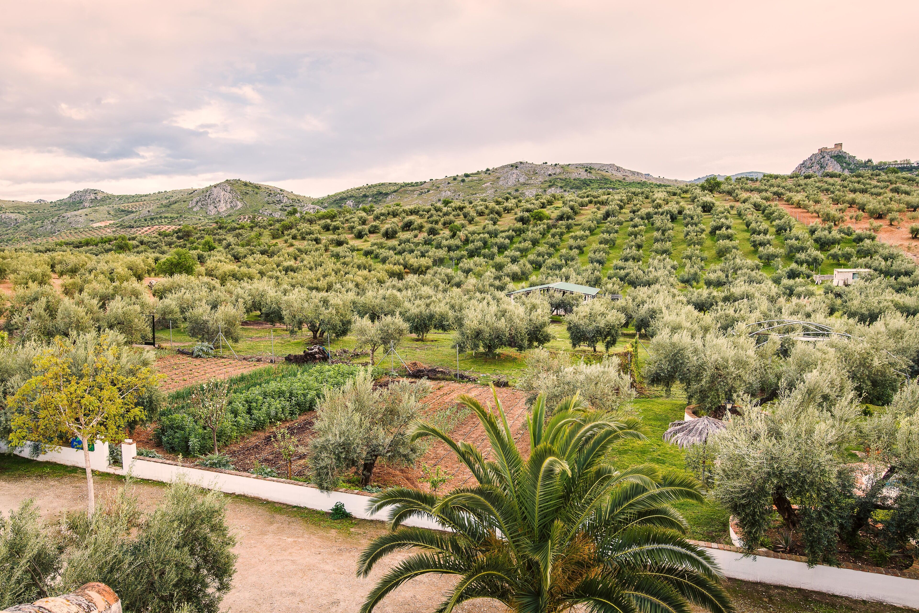Áreas de la propiedad