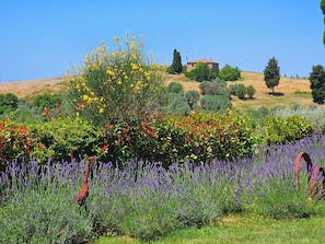 Un paysage rural caractérisé par une végétation variée, un petit bâtiment et un ciel dégagé.