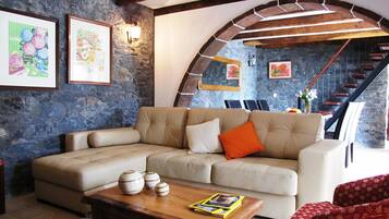 TV, video games, DVD player, books