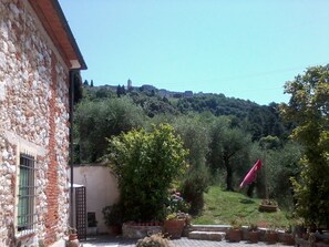 المنطقة المحيطة بالمنشأة