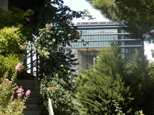 erittäin viehättävä studio allas 3 étoilesdans puisto 5000m2