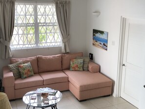 Una Smart TV, un reproductor de DVD, libros, una videoteca