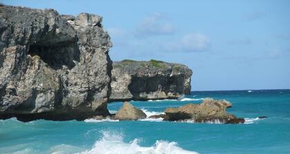 Lovely one bedroom ground floor apartment with swimming pool and gardens