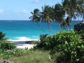Ubicación cercana a la playa, tumbonas y toallas de playa