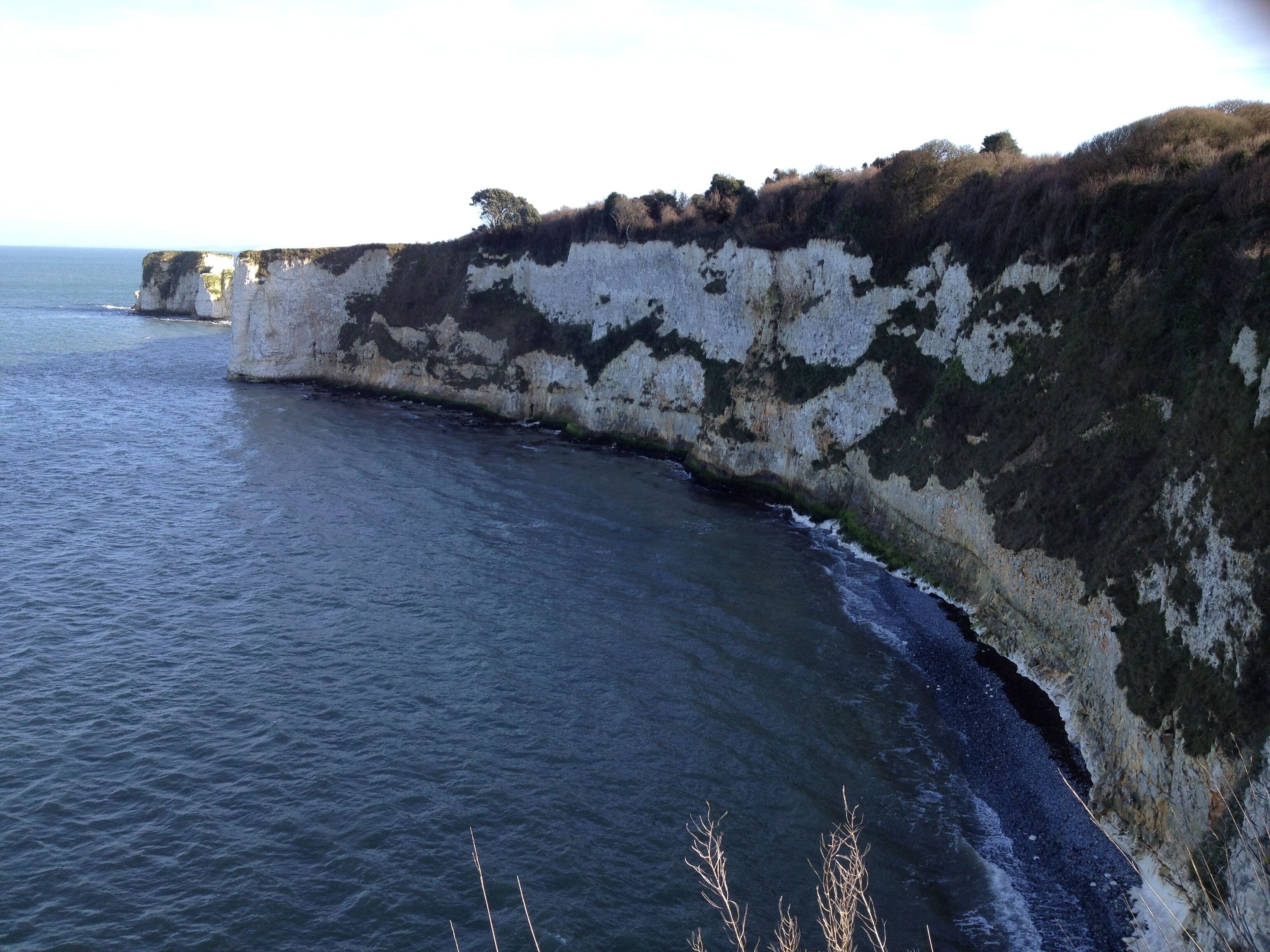 A coastal cliff with white and dark patches, overlooking the sea.