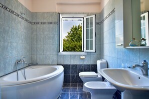 Bañera con ducha, bañera de hidromasaje, secador de pelo, bidet