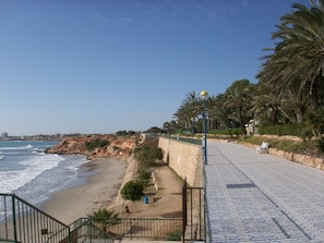 Un paseo marítimo con muro de piedra, palmeras y vista al océano.