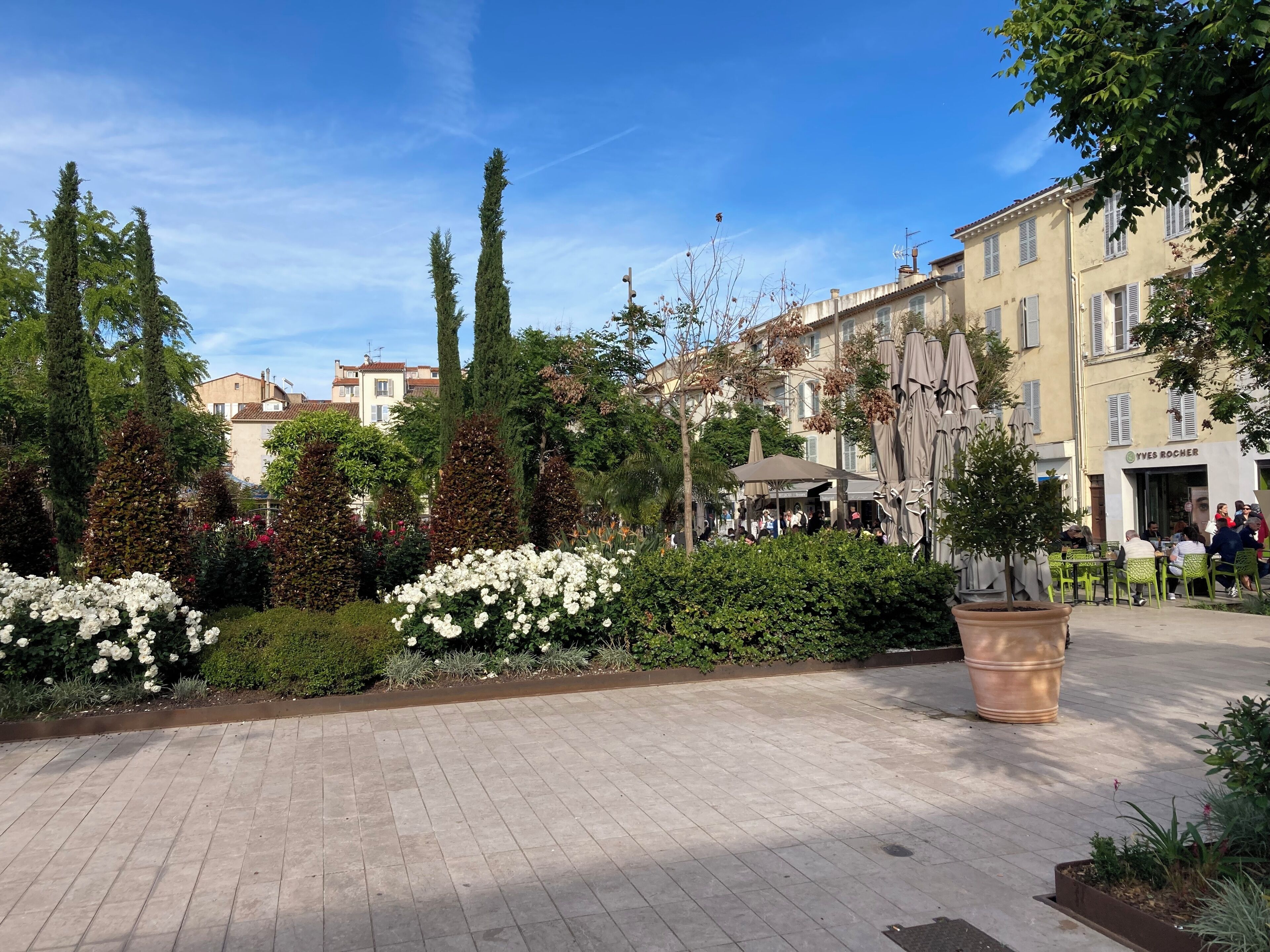 A paved courtyard with potted plants and a café area.