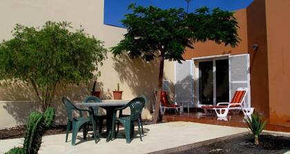 House with pool between gardens and olive farm.