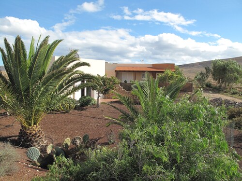 House with pool between gardens and olive farm. 