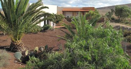 House with pool between gardens and olive farm.