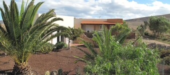 House with pool between gardens and olive farm.