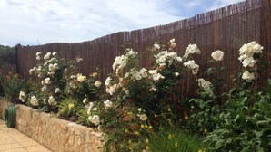 Un jardín con rosas blancas y otras flores, un muro de piedra y una valla de bambú.
