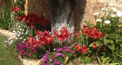VILLA/ PRIVATE HEATED POOL; BBC; WI-FI; SAT:/CABLE TV; AirCon;GARDENS; PARKING.
