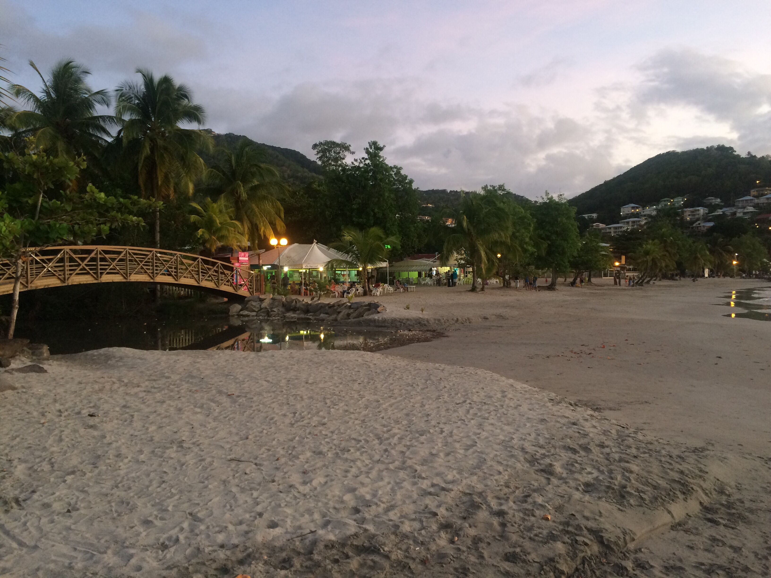 A beach with a wooden bridge, palm trees, and a small water body.