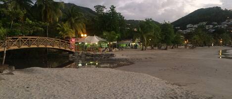 A beach with a wooden bridge, palm trees, and a small water body.