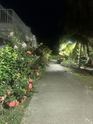 Property grounds - Charming T2 50 m from the beach and 2 minutes from the speedboat to the capital (Les Trois-Îlets)