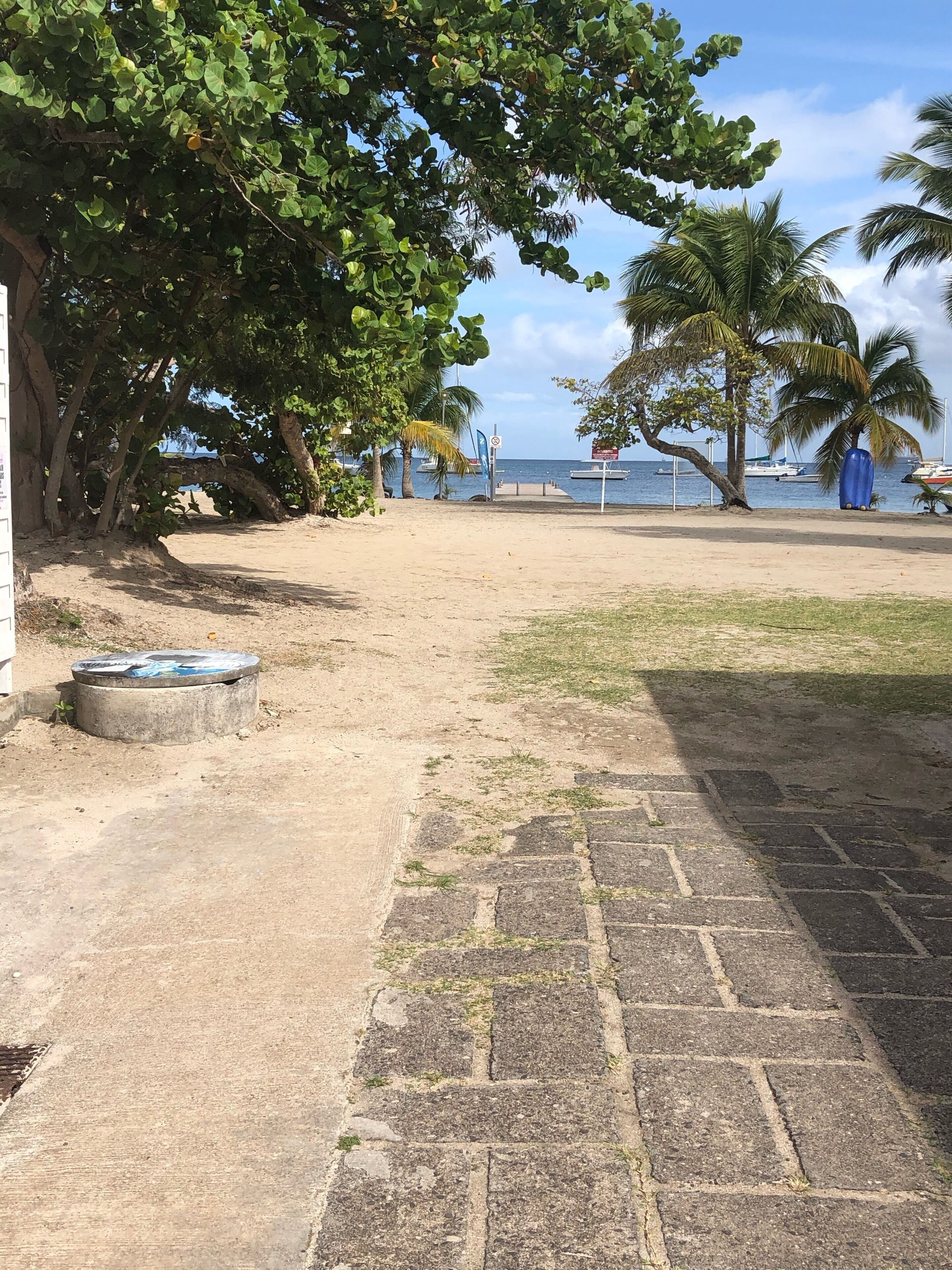 Une zone de plage avec une promenade dallée, des palmiers et une vue sur l’océan, où l’on peut apercevoir des bateaux.
