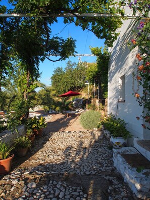 المنطقة المحيطة بالمنشأة