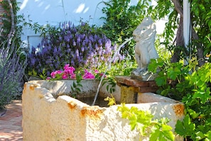 Terrein van de accommodatie