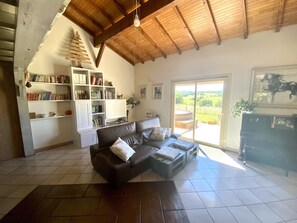 Télévision, cheminée, table de tennis de table, livres