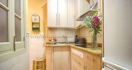 Appartement confortable dans CENTRE historique de Malaga