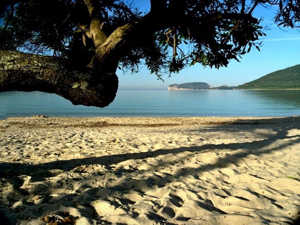 Vlak bij het strand