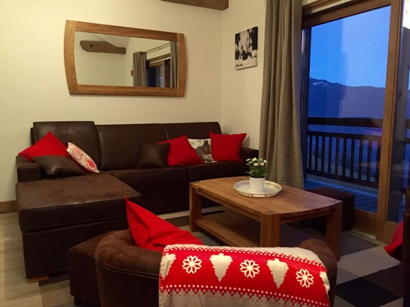 Téléviseur, lecteur de DVD, livres, chaîne audio