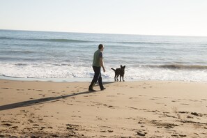 Plage à proximité