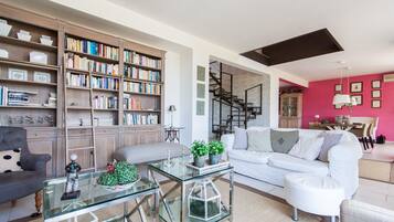 TV, fireplace, DVD player, books