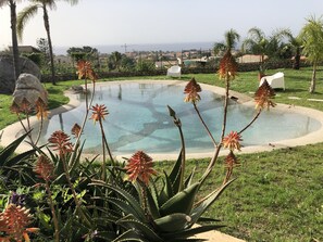 حمّام سباحة خارجي