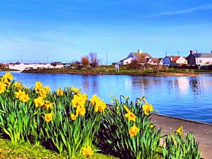 Property grounds - Romantic Lakeside Cottage ❤️ Log Burner ★ The Perfect Winter Get away (Mablethorpe)